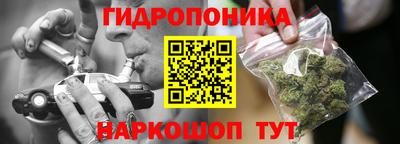 шишки Ирбит