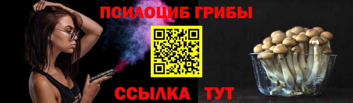 Галлюциногенные грибы мицелий Карачаевск